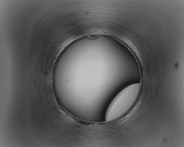 X0000100771089200806190927