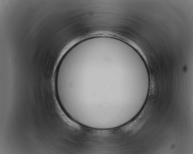 X0000100771090200806190927