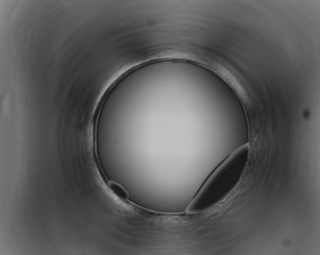 X0000100771092200806190927