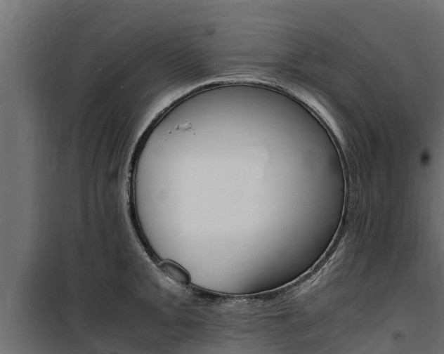 X0000100771093200806190927