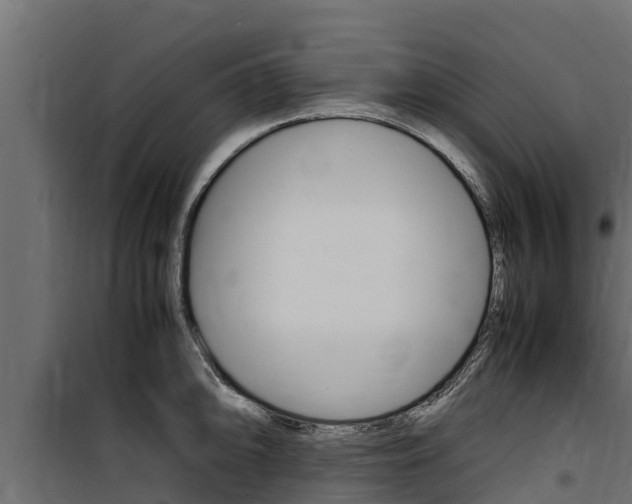 X0000100771094200806190927