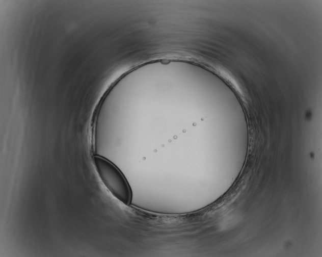 X0000100771095200806190927
