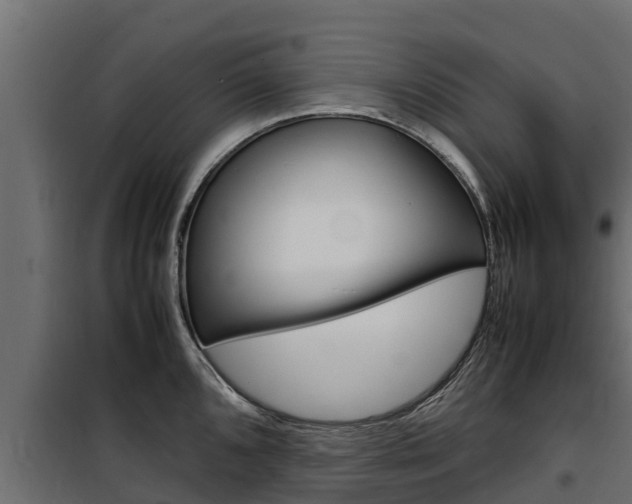 X0000100771096200806190927