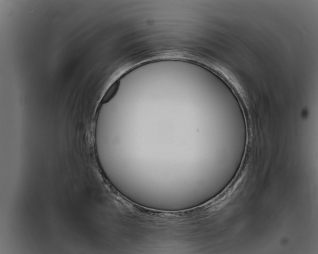 X0000100771097200806190927