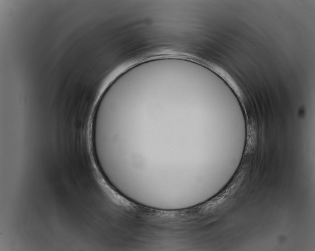 X0000100771098200806190927