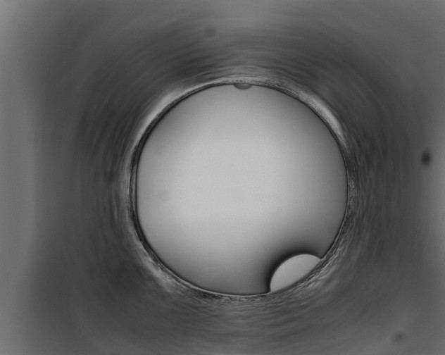 X0000100771099200806190927