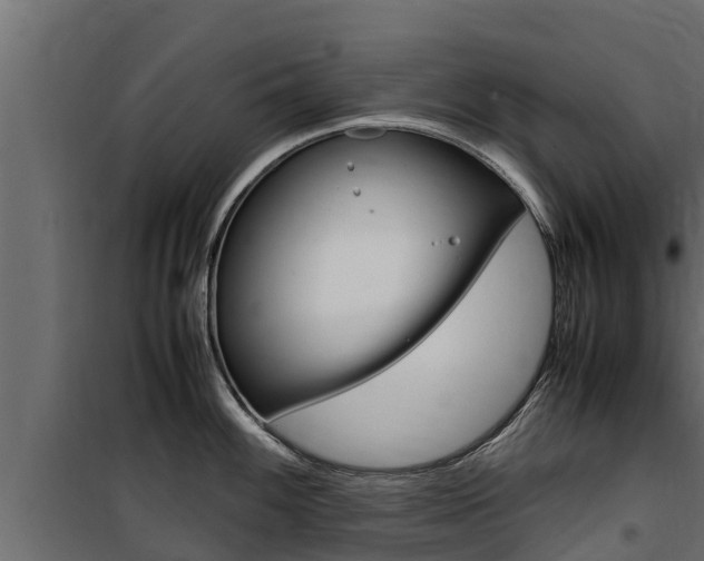 X0000100771100200806190927