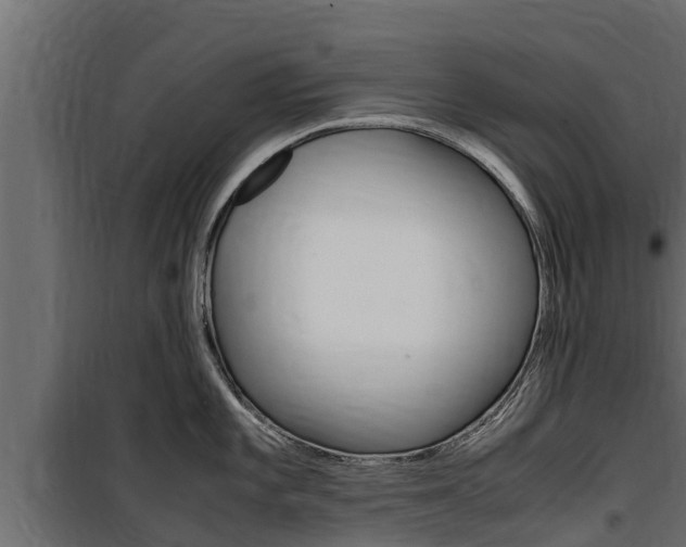 X0000100771101200806190927