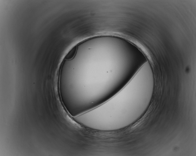 X0000100771102200806190927
