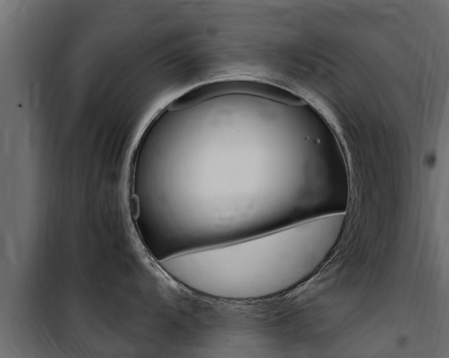 X0000100771104200806190927
