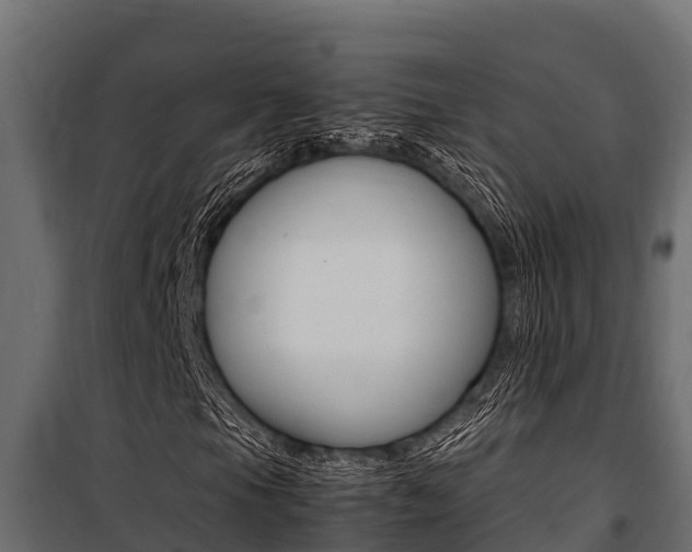 X0000100771105200806190926