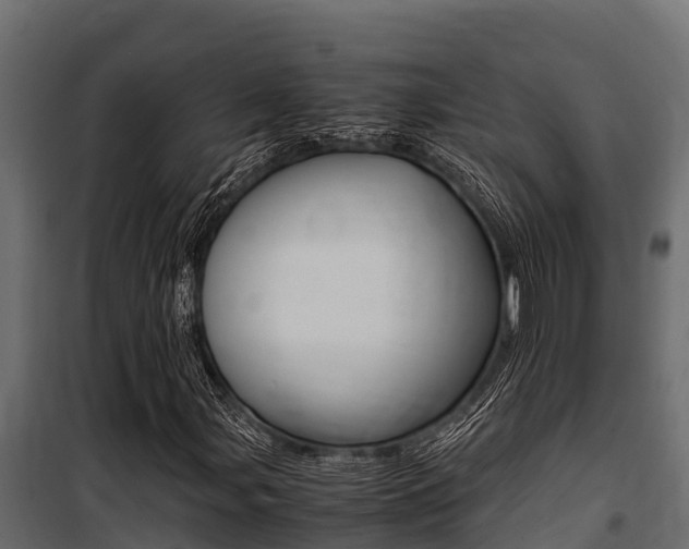 X0000100771107200806190926