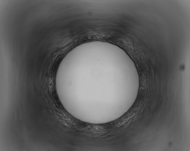 X0000100771109200806190926