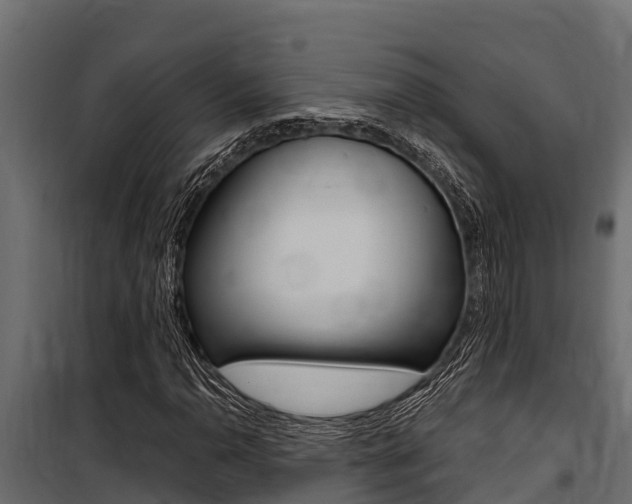 X0000100771110200806190926