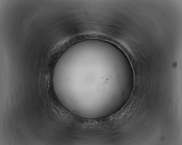 X0000100771111200806190926