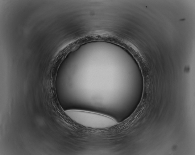 X0000100771112200806190926