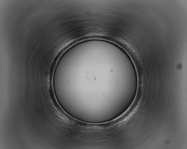 X0000100771113200806190926