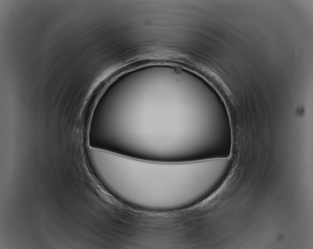 X0000100771114200806190926
