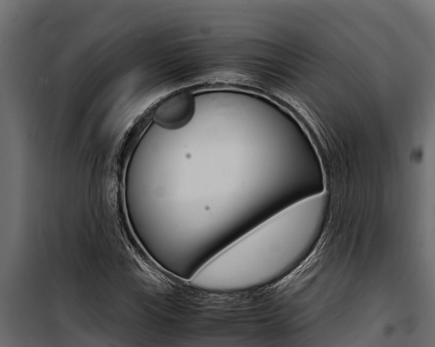 X0000100771115200806190926