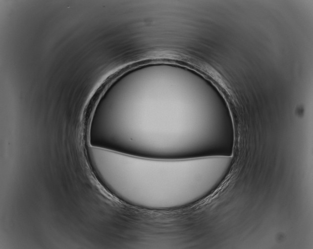 X0000100771116200806190926
