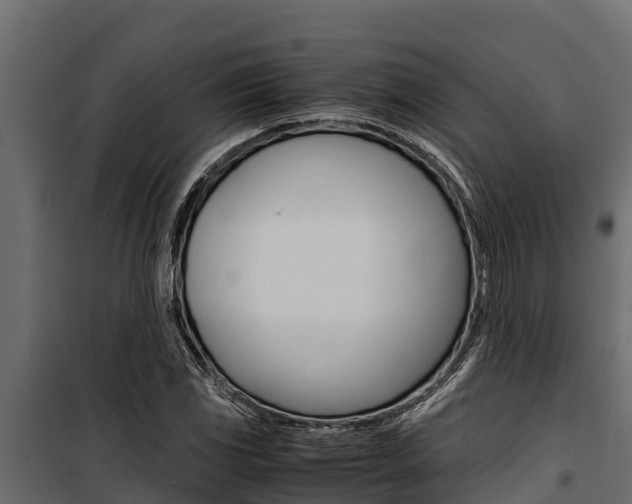 X0000100771117200806190926