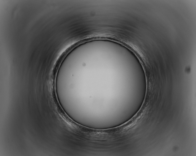 X0000100771119200806190926
