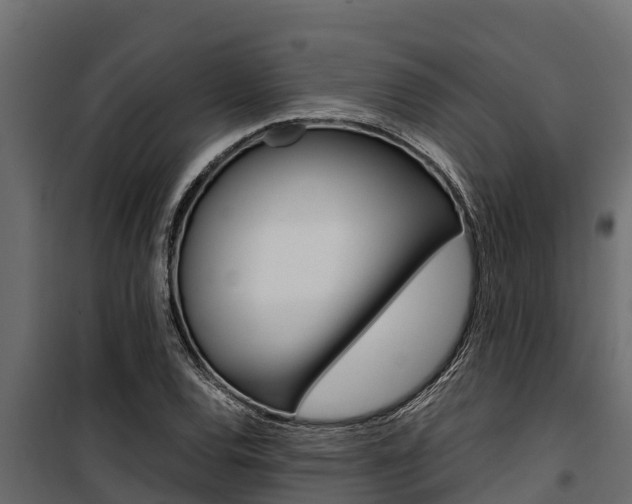 X0000100771120200806190926