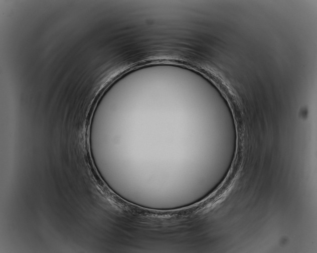 X0000100771121200806190926