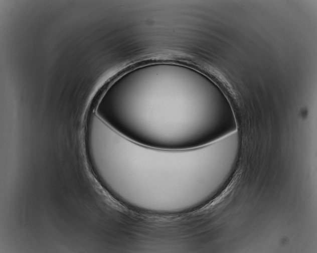 X0000100771122200806190926