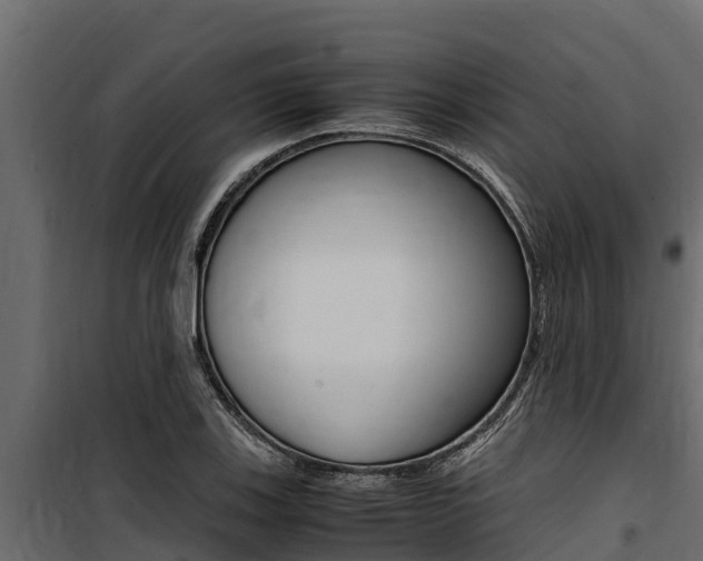 X0000100771123200806190926
