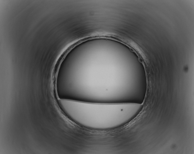 X0000100771124200806190926