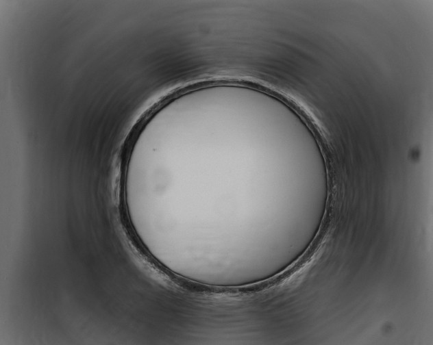 X0000100771126200806190926