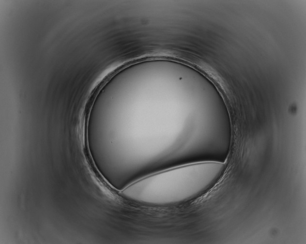 X0000100771127200806190926