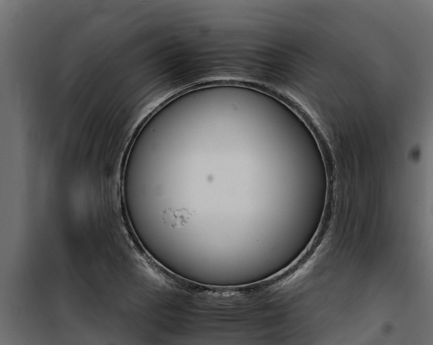 X0000100771129200806190926