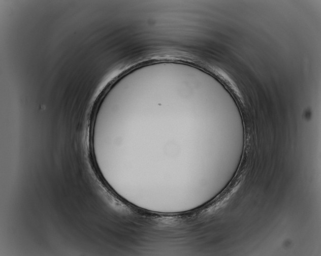 X0000100771130200806190926