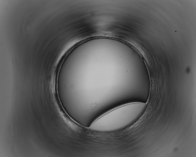 X0000100771131200806190926