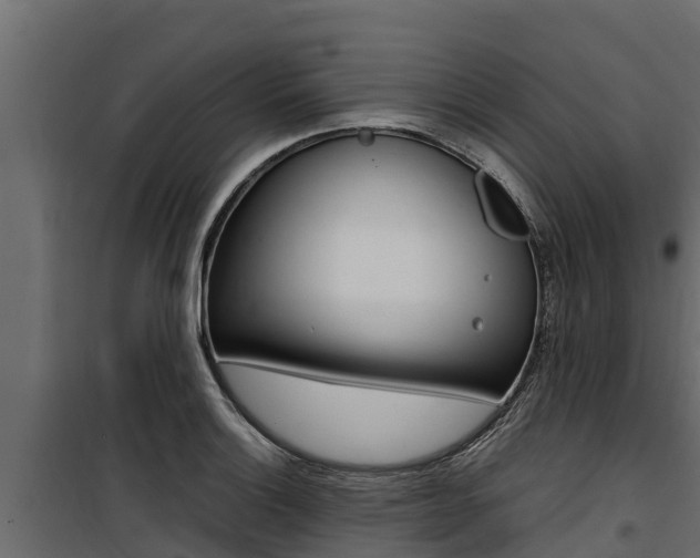 X0000100771132200806190927