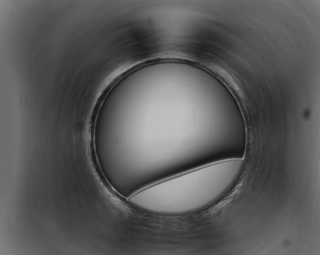 X0000100771133200806190927