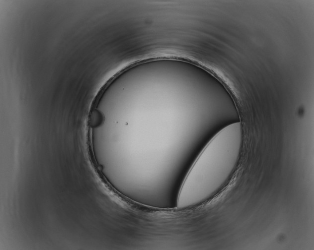 X0000100771134200806190927