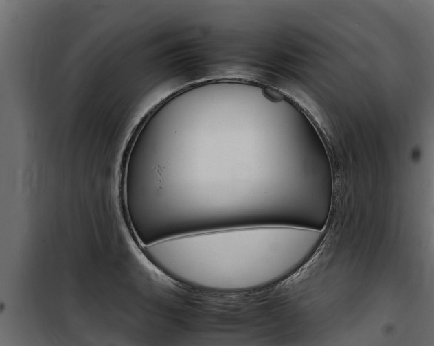X0000100771135200806190927