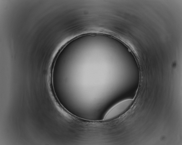 X0000100771136200806190927