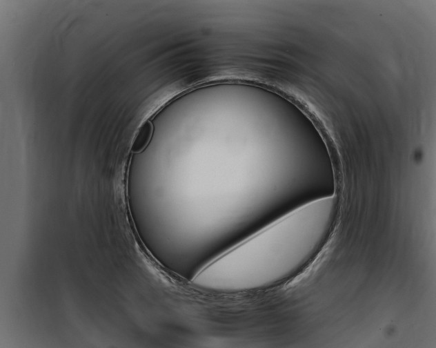 X0000100771137200806190927