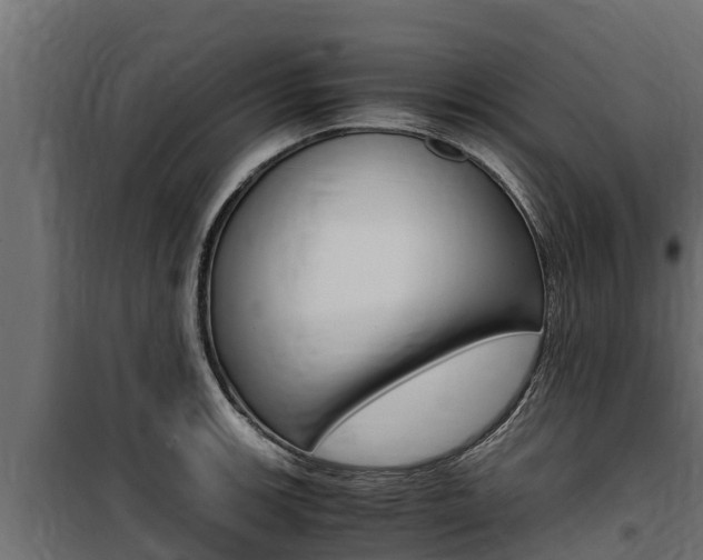 X0000100771139200806190927