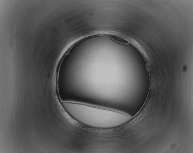 X0000100771140200806190927