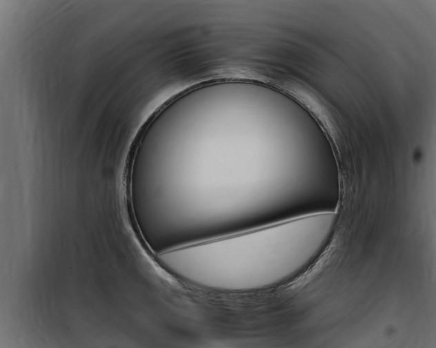X0000100771141200806190927
