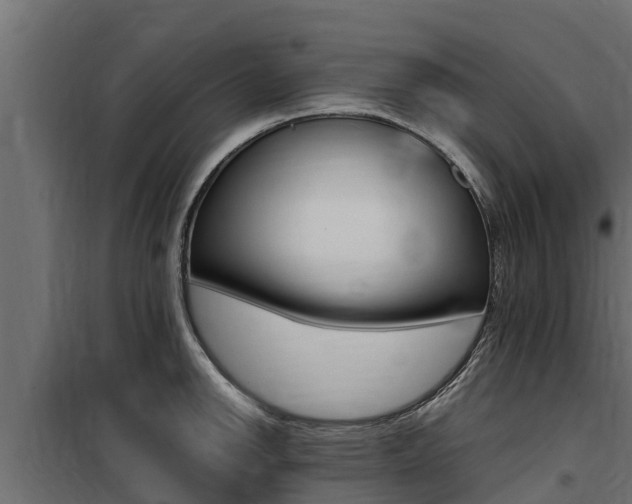 X0000100771142200806190927