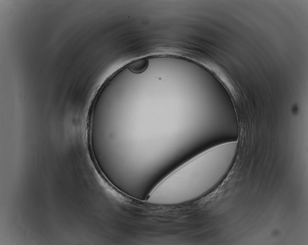 X0000100771143200806190927