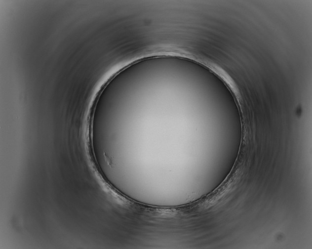 X0000100771144200806190927