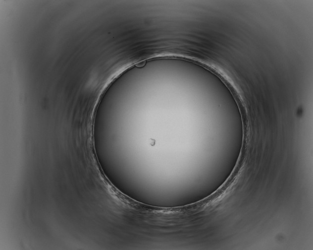 X0000100771145200806190927