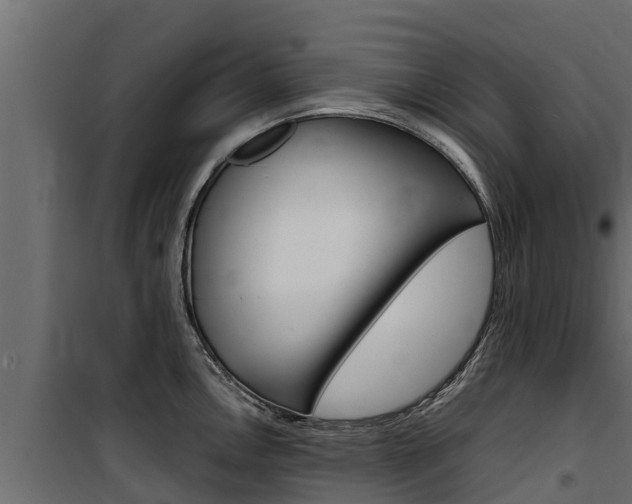 X0000100771146200806190927